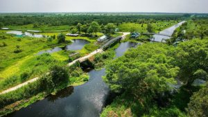 Rừng Quốc Gia Phú Quốc.